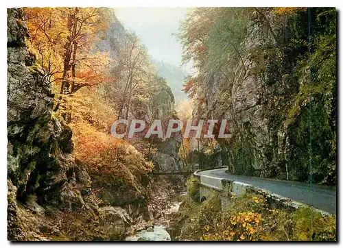 Moderne Karte Route des Alpes En automne dans les gorges