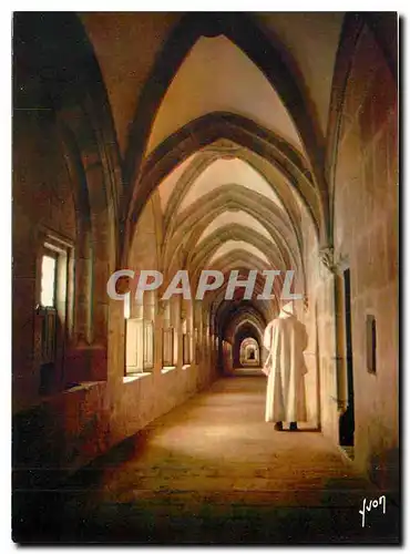 Cartes postales moderne Monastere de la Grande Chartreuse Le Grand Cloitre