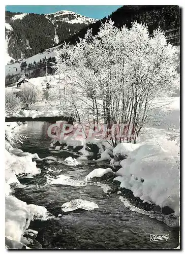 Cartes postales moderne Image des Alpes Voyez ces arbres blanchis tel un bouquet de neige