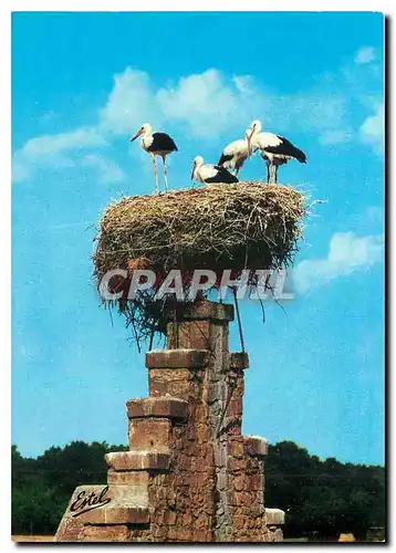 Cartes postales moderne Dans le Ciel d'Alsace