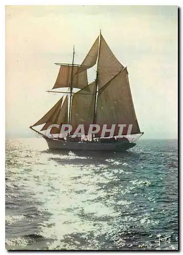 Moderne Karte Une barque aux voiles blanches Court la bas Sur une mer d'Argent