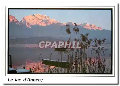 Cartes postales moderne Le Lac d'Annecy La Tournette