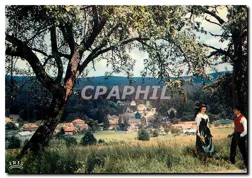 Cartes postales moderne L'Alsace Pittoresque Le Hohwald