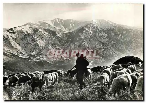 Moderne Karte En Roussillon Region du Conflent Paturages dans la Vallee de Vernet les Bains Au fond le Canigou