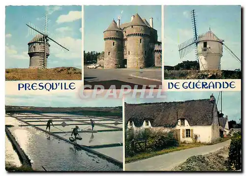 Cartes postales moderne Presqu'ile de Guerande Moulin a vent