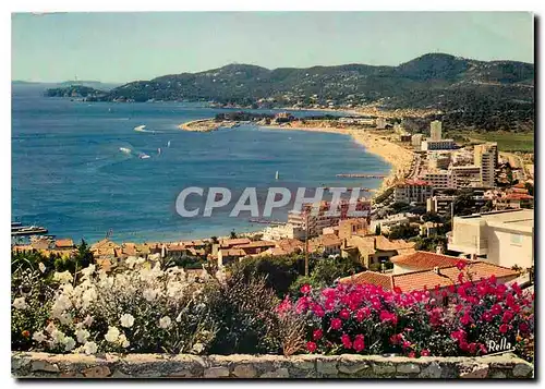 Cartes postales moderne La Cote d'Azur Varoise Le Lavandou Var Vue generale sur le Lavandou la Pointe du Gouron