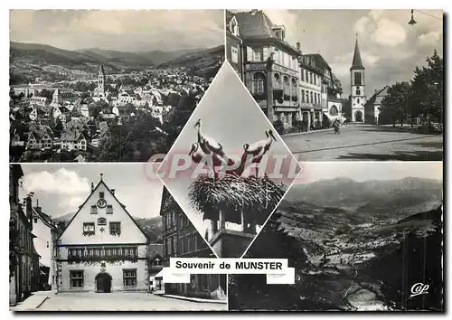 Cartes postales moderne Souvenir de Munster