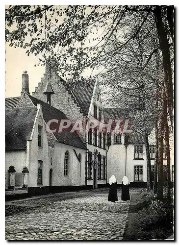 Cartes postales moderne Bruges Le Monastere de la Vigne