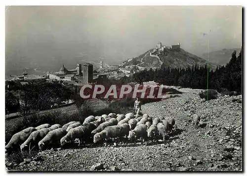 Moderne Karte Assisi Partiel panorama vue du mont Subasio Berger Moutons