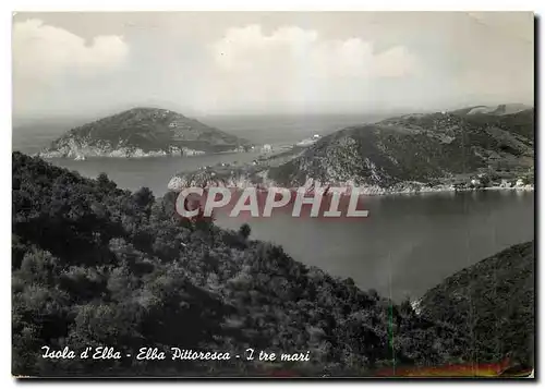 Cartes postales moderne Isola d'Elba Elba Pittoresca