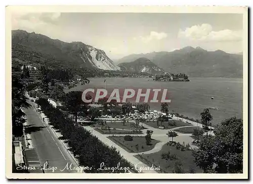 Cartes postales moderne Stresa Lago Maggiore Lungolago Giardini