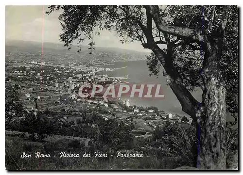 Cartes postales moderne San Remo Riviera dei Fiori Panorama