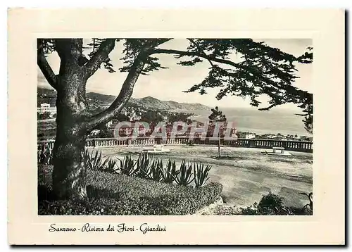 Cartes postales moderne Sanremo Riviera dei Fiori Giardini