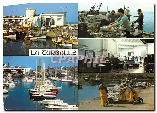 Cartes postales moderne La Turballe Loire Atlantique Debarquement du poisson et activities de la criee