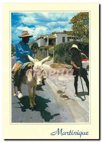 Cartes postales moderne Martinique