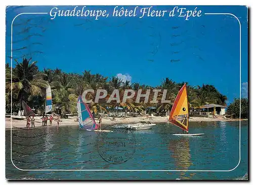 Cartes postales moderne Guadeloupe Hotel Fleur d'Epee