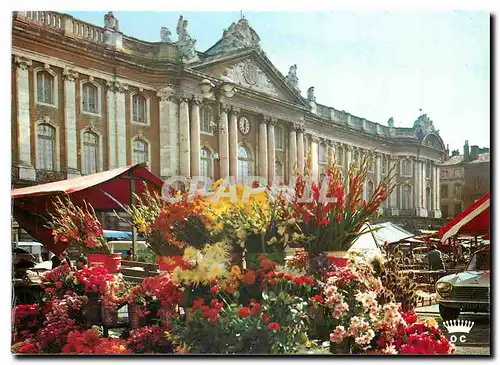 Moderne Karte Toulouse La Ville Rose Le Marche aux Fleurs sur la Place du Capitole