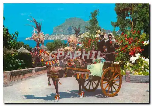 Cartes postales moderne Martinique Anse Dufour Plage de l'Anse Blache