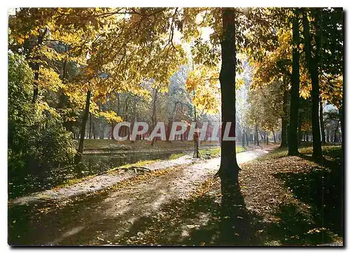 Cartes postales moderne Images de France Aurore au bois de Vincennes