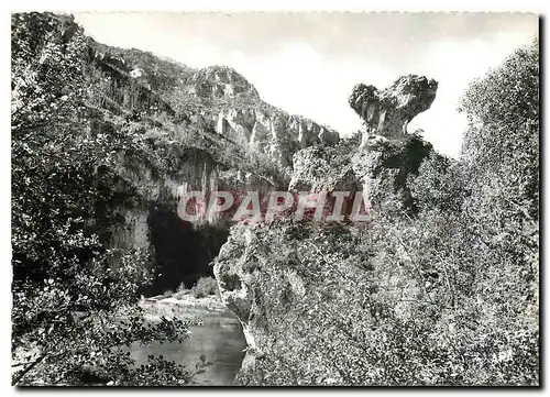 Moderne Karte En Parcourant les Gorges du Tarn Le Champignon