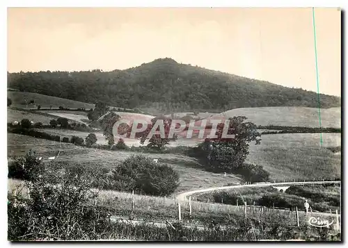 Cartes postales moderne St Honore les Bains Nievre Chemin du Desert La Vieille Montagne