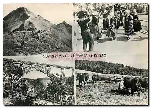 Cartes postales moderne Le Puy Mary La Bourree d'Aurillac groupe folklorique Vaches