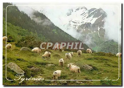 Moderne Karte Les Pyrenees Paturages Pyrenees