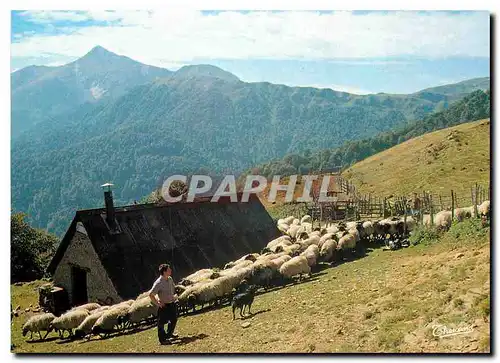 Cartes postales moderne Iraty Vieux Cayolar et troupeau de brebis