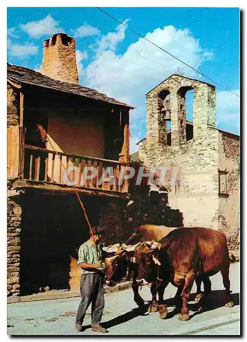 Moderne Karte Roussillon Pyrenees Orientales Scene de la vie paysanne catalane dans le petit village Cerdan d'