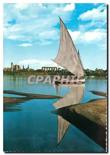 Cartes postales moderne Egypt Luxor Temple et fleuve Nile