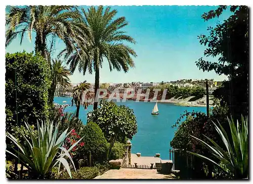 Cartes postales moderne Egypt Assouan Vue da Nil