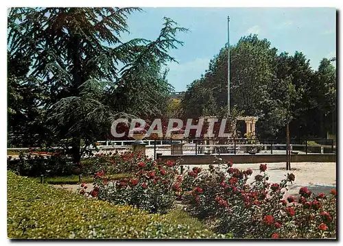 Cartes postales moderne Charenton Val de Marne Le Jardin Public