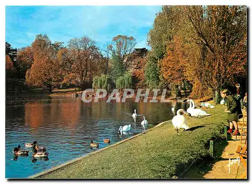 Cartes postales moderne Paris Le Parc Montsouris Promenade automnale