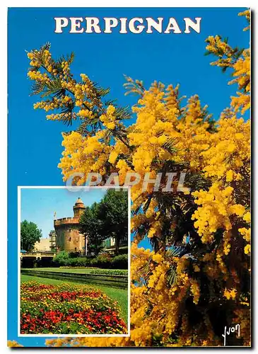 Moderne Karte Perpignan PO Le Castillet vu des Quais fleuris de la Basse
