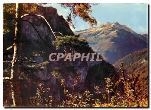 Cartes postales moderne Sites Pyrenees Massif de St Barthelemy