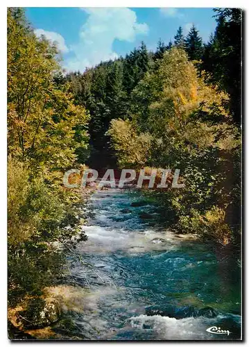 Moderne Karte Les beaux sites du Jura Franche Comte La vallee de la Seine en automne