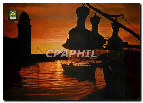 Cartes postales moderne Collioure Lever de soleil sur le Port