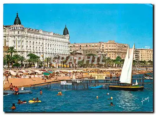 Cartes postales moderne La Cote d'Azur miracle de la nature Cannes Alpes Maritimes La Plage et les Grands Hotels