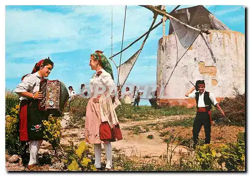 Cartes postales moderne Ribatejo Moinha e Folciare