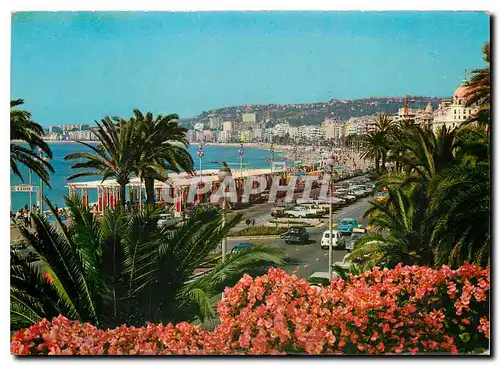 Cartes postales moderne Nice La Promenade des Anglais