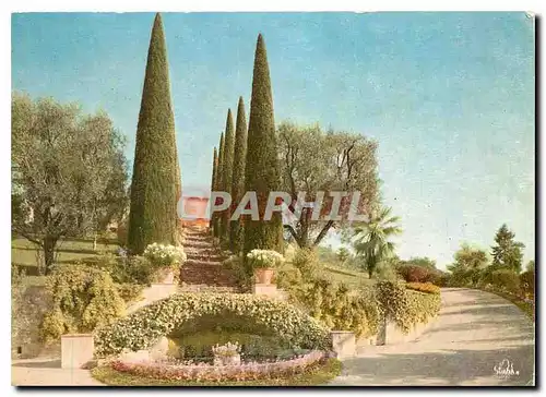 Cartes postales moderne Le Cannet Cote d'Azur Yakymour