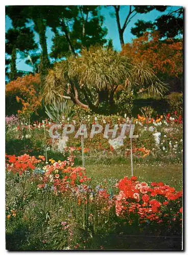 Cartes postales moderne Cap d'Ail Cote d'Azur France Vue d'un coin du Parc