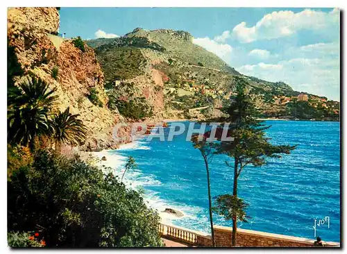 Cartes postales moderne Le Cap d'Ail Alpes Maritimes Vue prise du Cap Estel