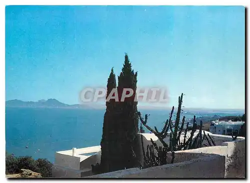 Moderne Karte Sidi Bou Said Vue sur le golfe