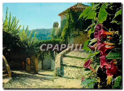 Moderne Karte La Cote d'Azur miracle de la nature Biot Alpes Maritimes