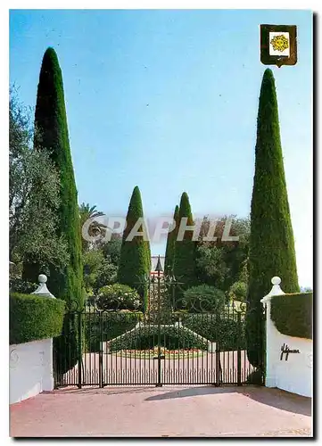 Cartes postales moderne Le Cannet Cote d'Azur Yakymour