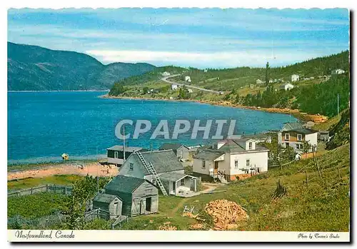 Cartes postales moderne Newfoundland Canada Bonne Bay