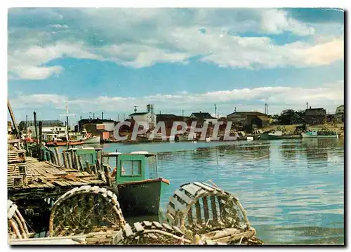 Cartes postales moderne Glace Bay Harbour Cape Breton NS