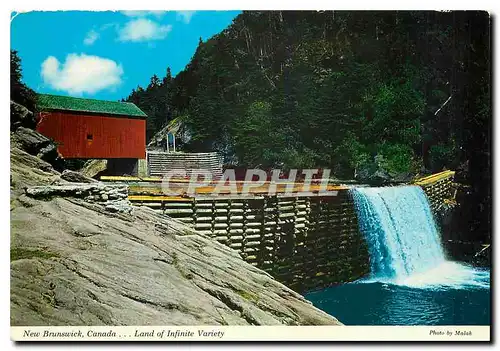Cartes postales moderne New Brunswick Canada Land of Infinite Variety