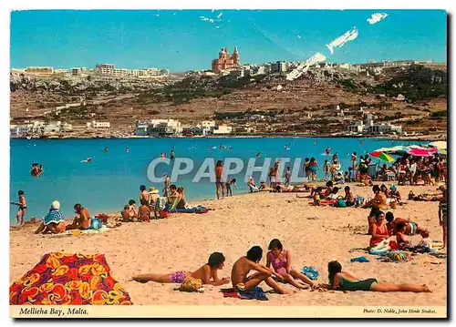 Cartes postales moderne Mellieha Bay Malta